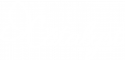 The Catalyst Foundation