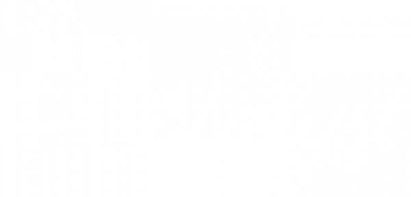 The Catalyst Foundation